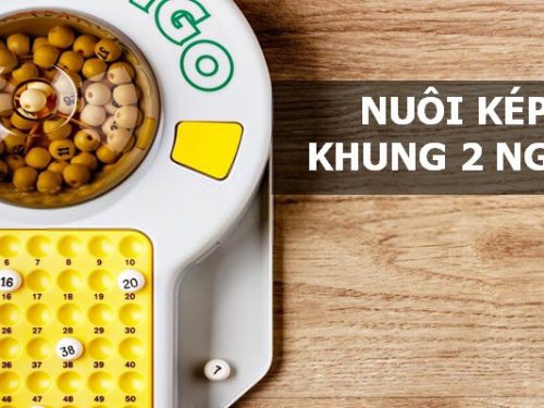 Lô Kép nuôi khung 2 ngày: Bí kíp đầu tư sinh lời năm 2025
